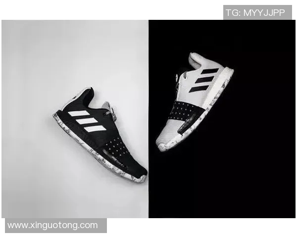 张伟独家分享羽毛球技巧与经验助你提升竞技水平与乐趣